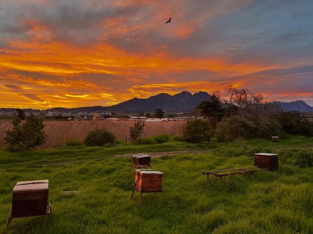Sunrise over the farm